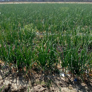 Meet your Posher, Eva